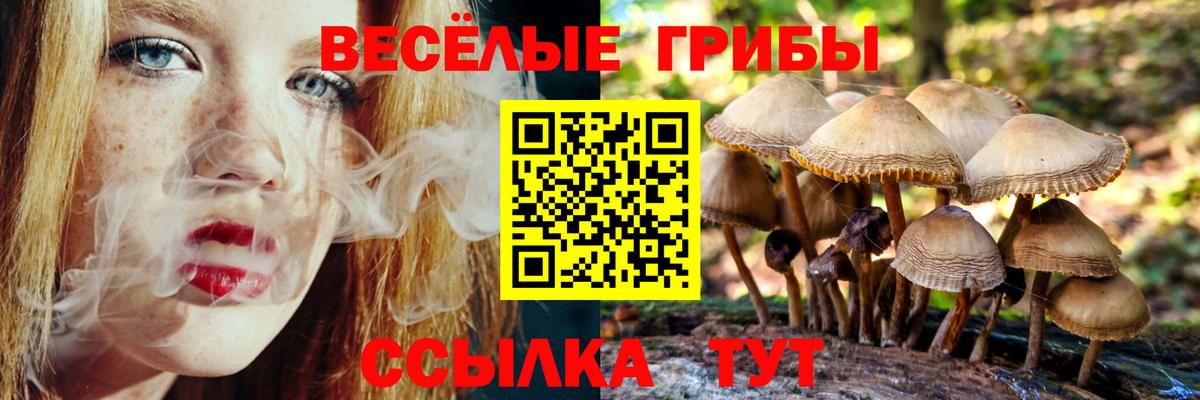 Галлюциногенные грибы мухоморы  Вход с VPN  купить   Дедовск 
